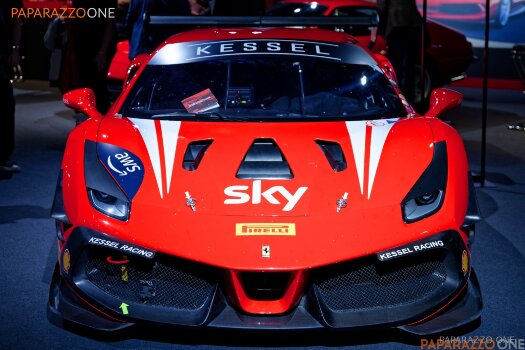 IMG_7331.jpg IMG_7331.jpg