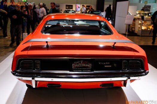 IMG_7406.jpg IMG_7406.jpg