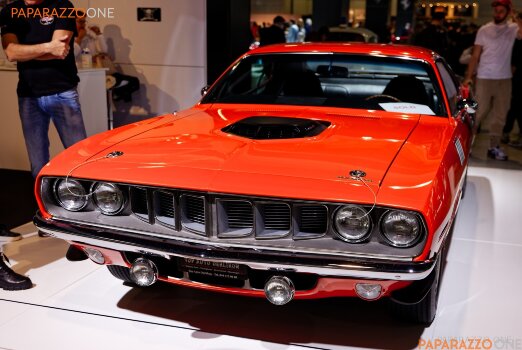 IMG_7417.jpg IMG_7417.jpg