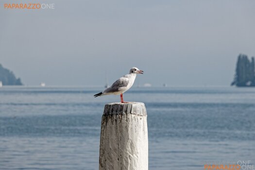 Luzern-ante-008.jpg