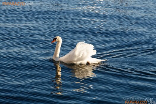 Luzern-ante-060.jpg