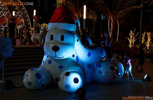 IMG_3223.jpg IMG_3223.jpg