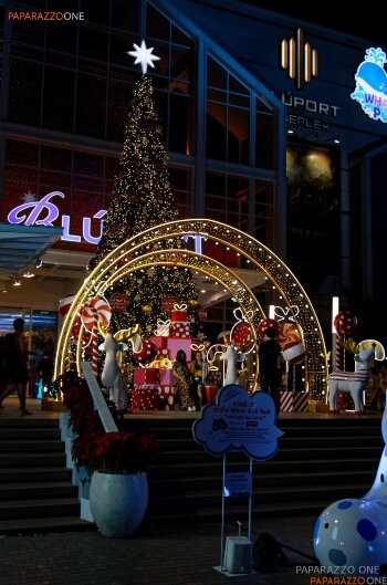 IMG_3224.jpg IMG_3224.jpg