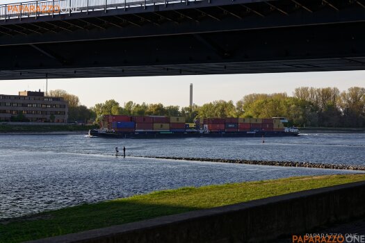 IMG_1559.jpg IMG_1559.jpg
