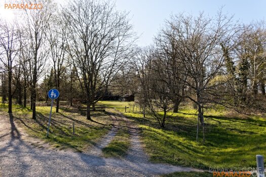 ImWald-001.jpg ImWald-001.jpg