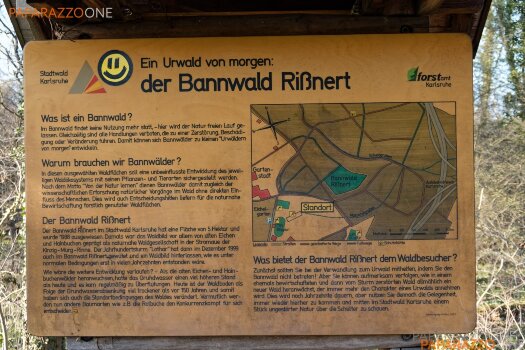 ImWald-044.jpg ImWald-044.jpg
