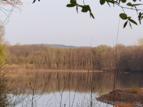 ImWald-064.jpg ImWald-064.jpg