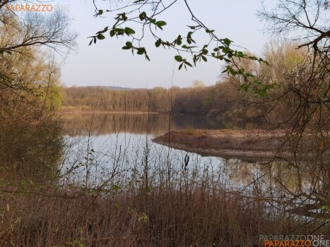 ImWald-063.jpg ImWald-063.jpg
