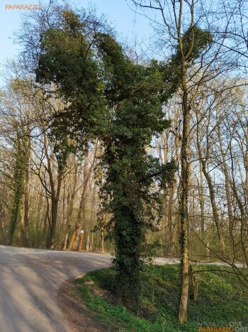 ImWald-061.jpg ImWald-061.jpg