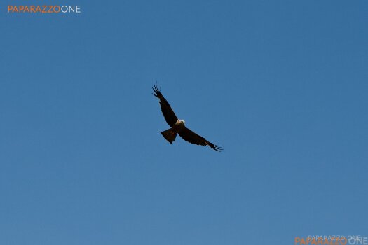 IMG_1841.jpg IMG_1841.jpg