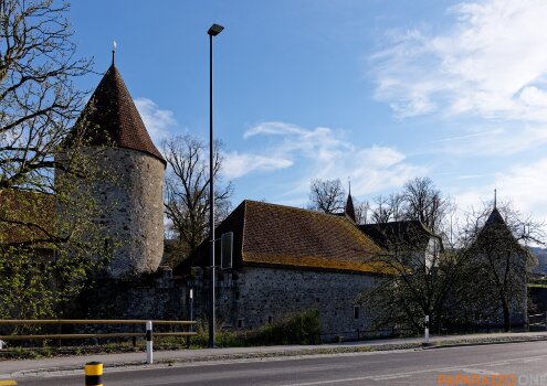 P1000321.jpg P1000321.jpg