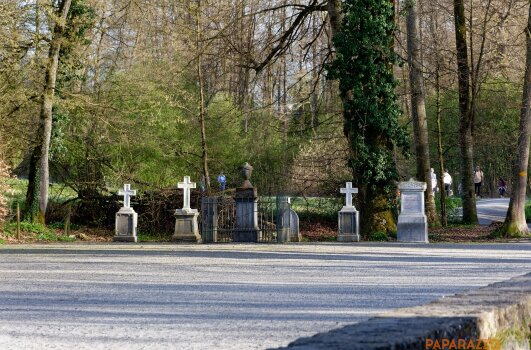 P1000330.jpg P1000330.jpg