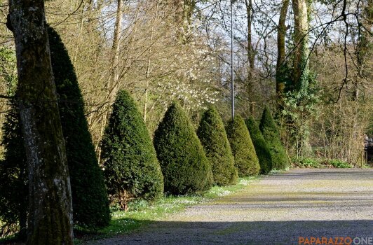 P1000339.jpg P1000339.jpg