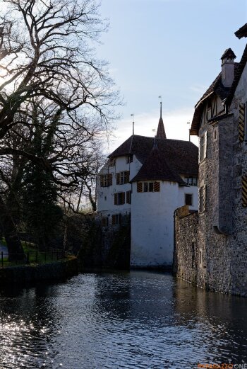 P1000363.jpg P1000363.jpg