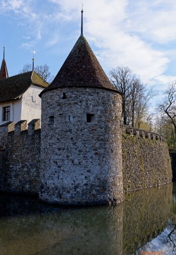 P1000372.jpg P1000372.jpg