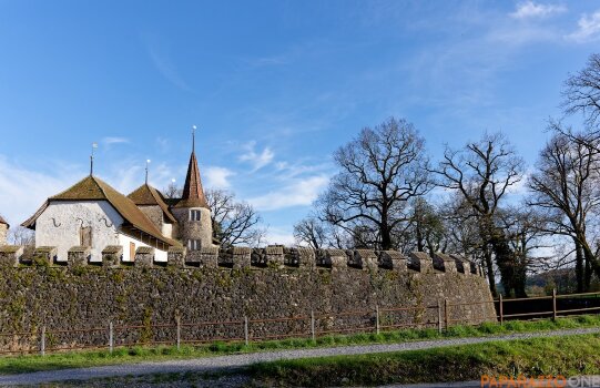 P1000398.jpg P1000398.jpg