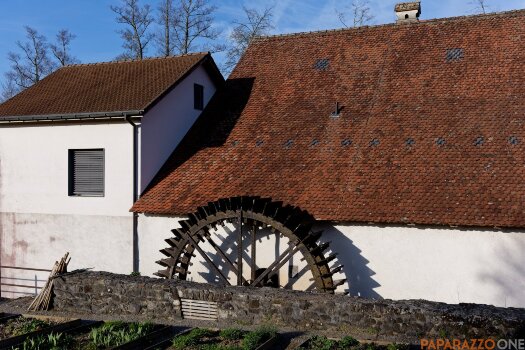 P1000390.jpg P1000390.jpg