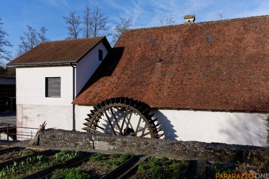 P1000392.jpg P1000392.jpg