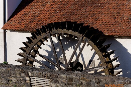 P1000394.jpg P1000394.jpg