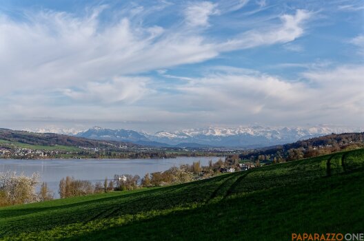 P1000413.jpg P1000413.jpg