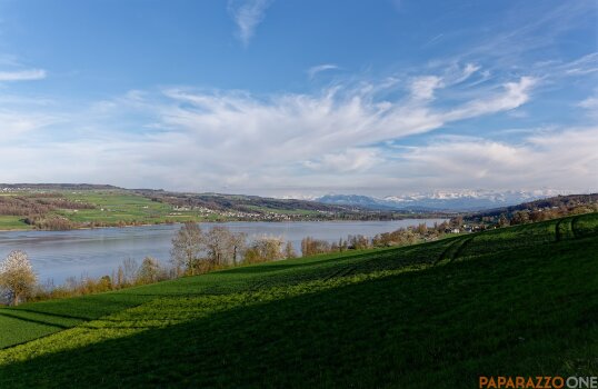 P1000417.jpg P1000417.jpg