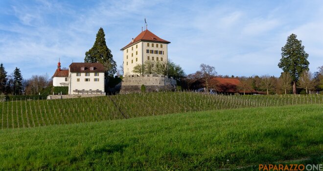 P1000426.jpg P1000426.jpg