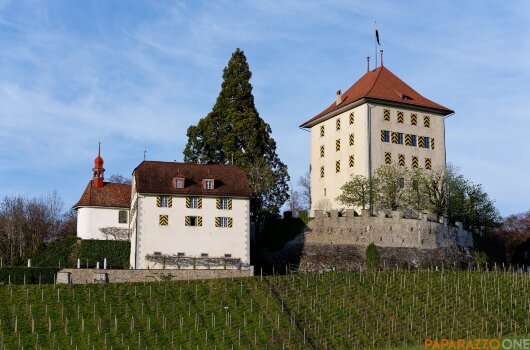 P1000429.jpg P1000429.jpg