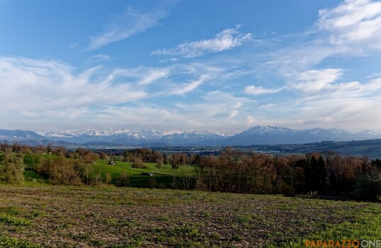 P1000430.jpg P1000430.jpg