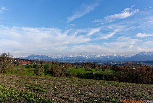 P1000432.jpg P1000432.jpg