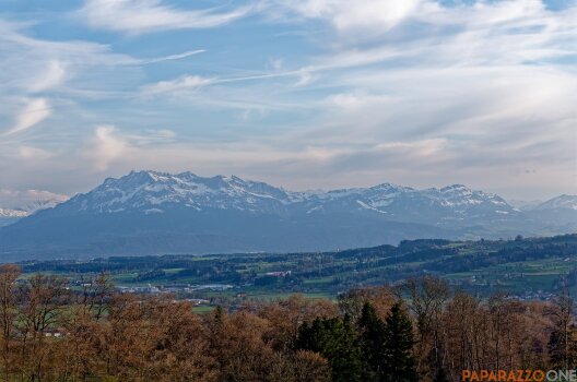 P1000436.jpg P1000436.jpg