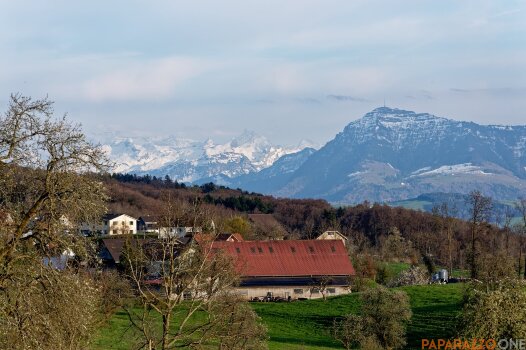 P1000437.jpg P1000437.jpg