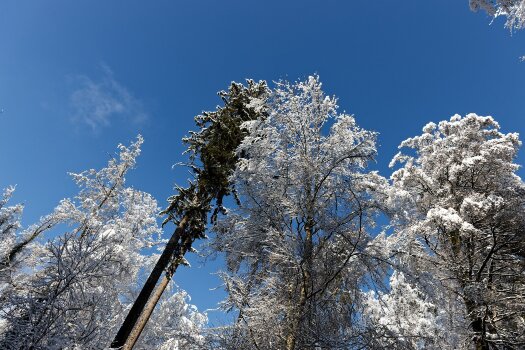 IMG_8851.jpg