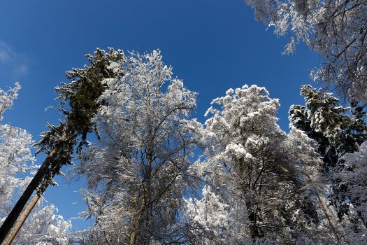 IMG_8853.jpg