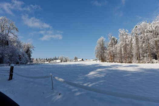 IMG_8859.jpg