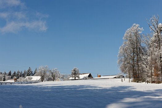 IMG_8860.jpg