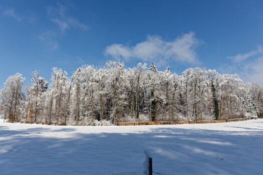 IMG_8863.jpg