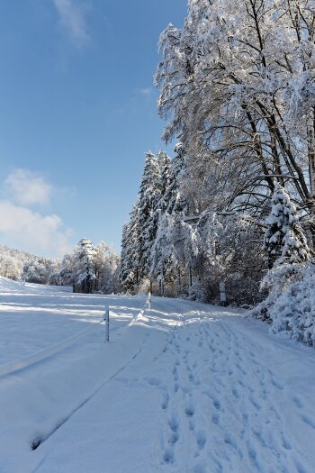 IMG_8866.jpg