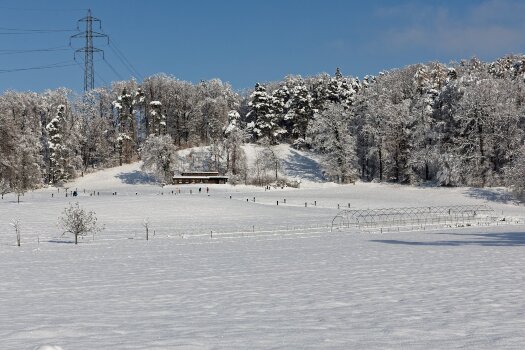 IMG_8880.jpg